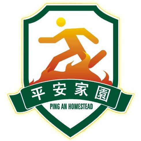 平安应急训练