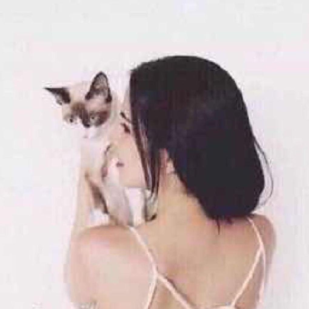 七禾页🐰