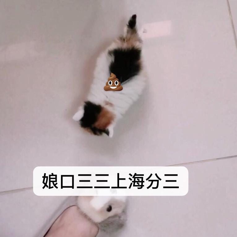 糊糊练习生