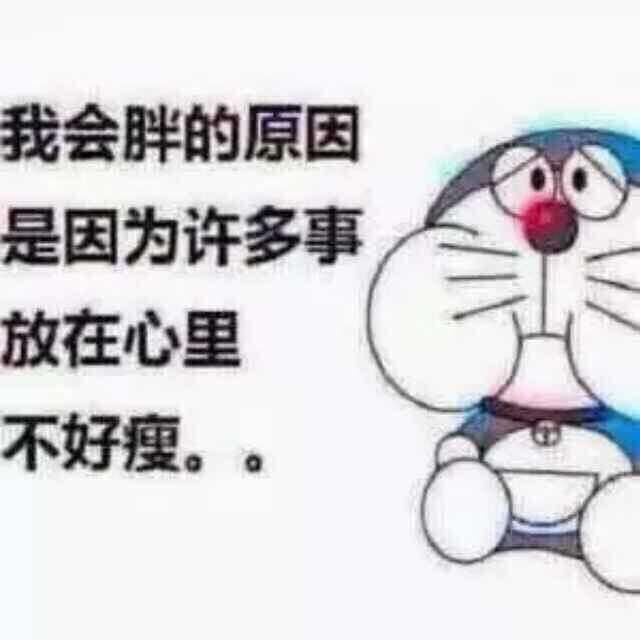 猪头