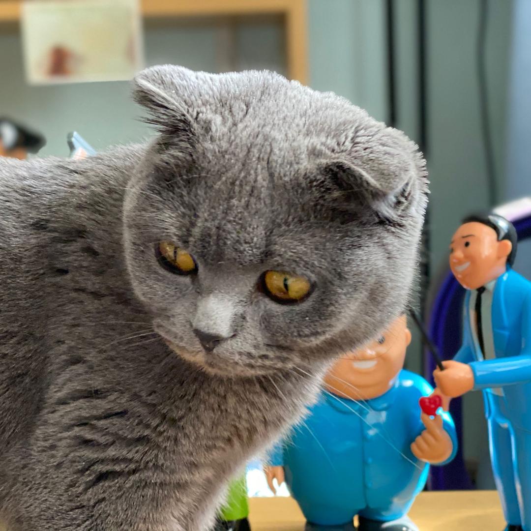 令人愉悦的范伟