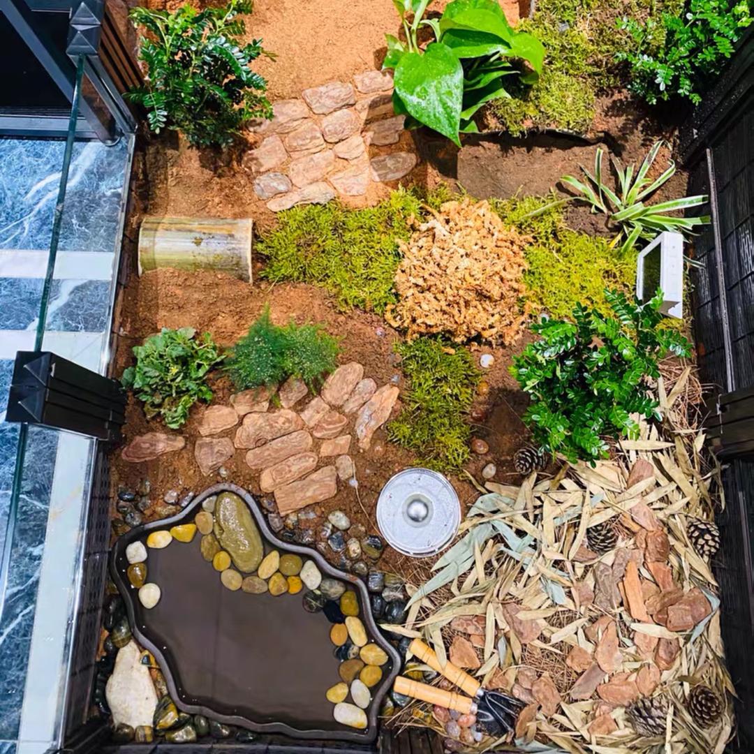 520.1314W晶的粉丝