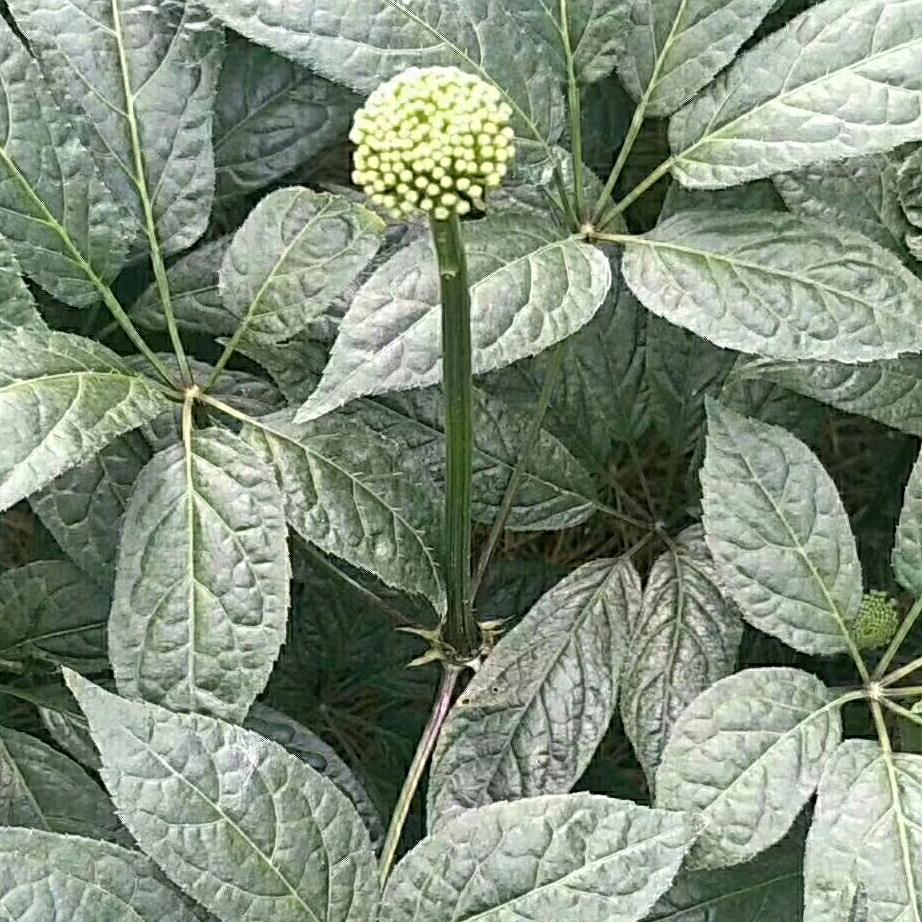 滇品风味土特产