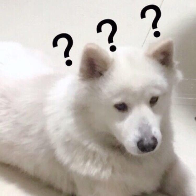 小盘不能盘嗷😝