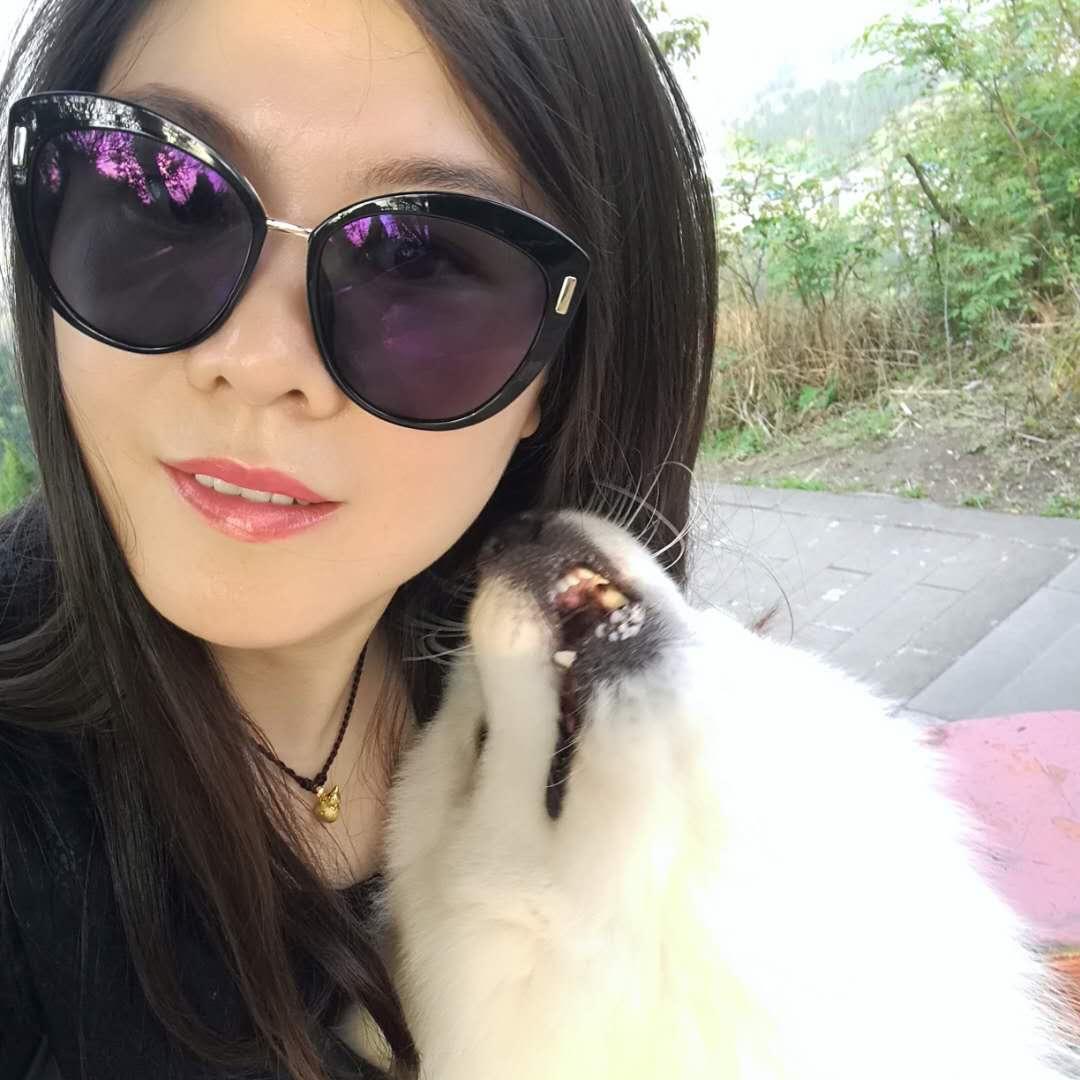 梦
