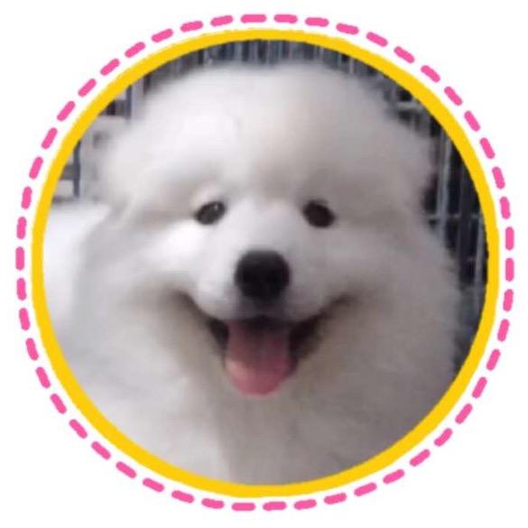 星期一和礼拜五