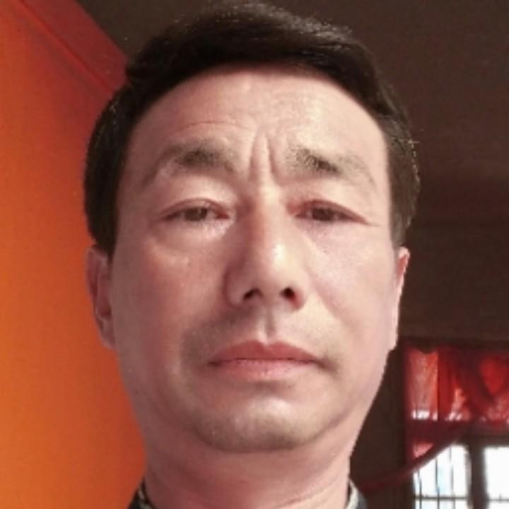 醒悟苗木