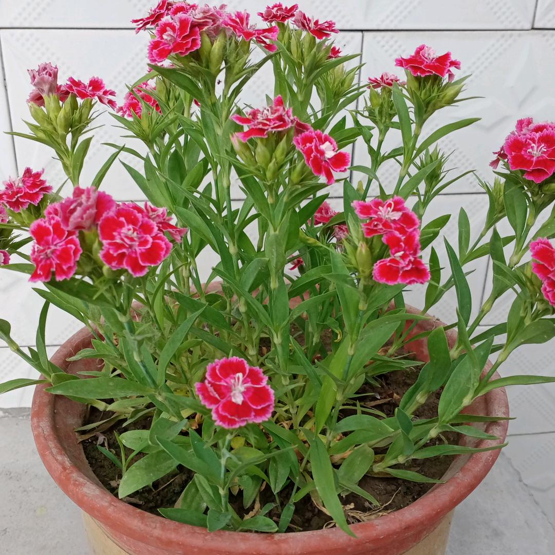 用户5295947810403夏天