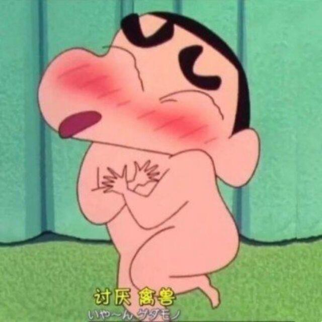 鼠鼠鼠了
