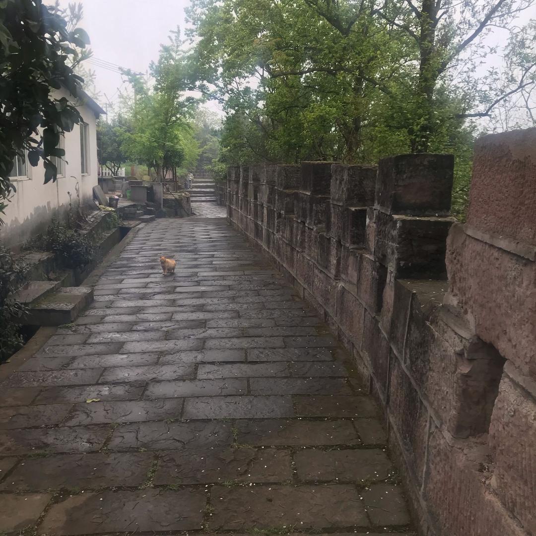 吾就是我