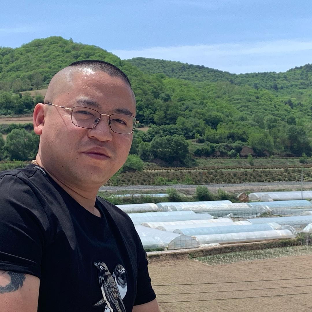 Liu 先生