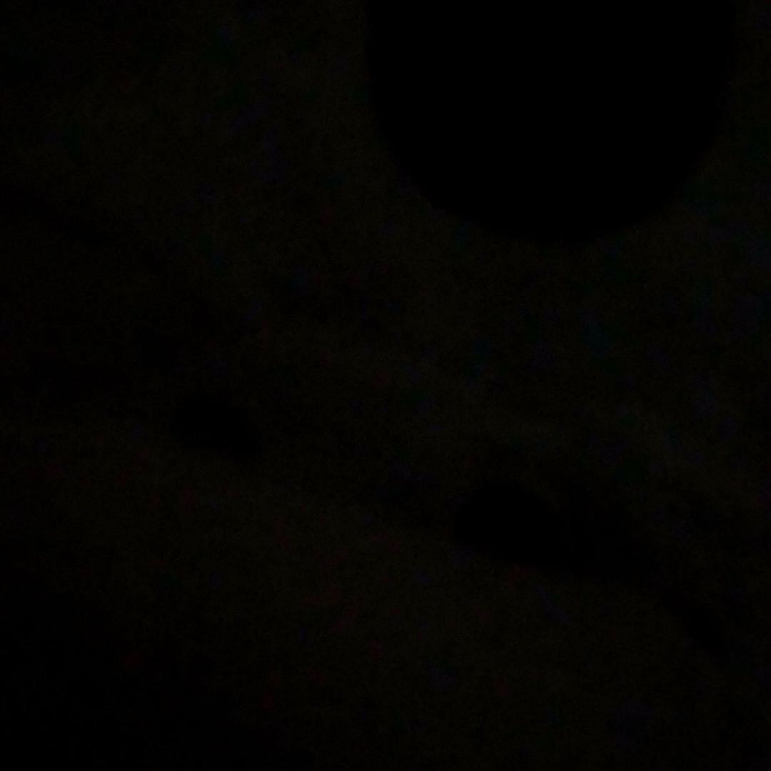 长情