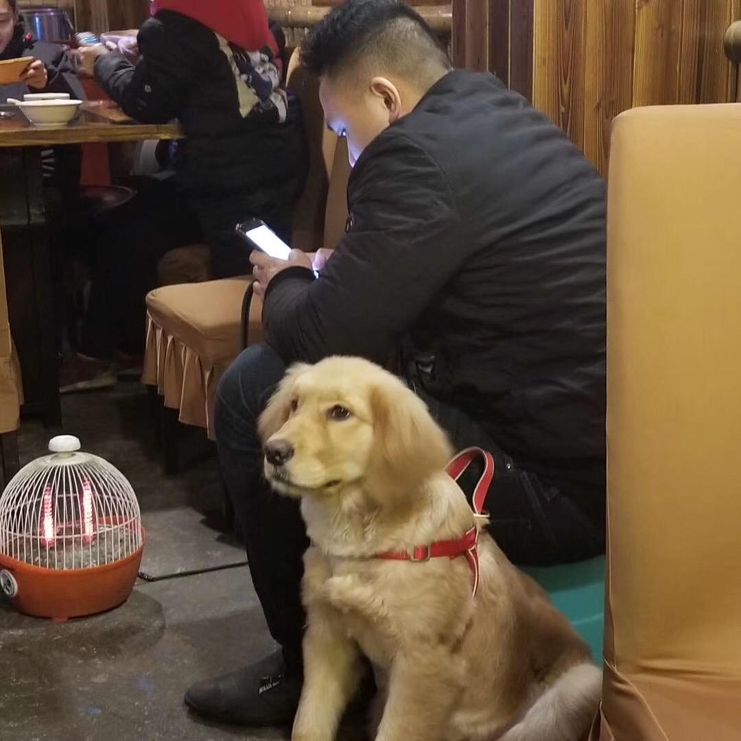 钰爷