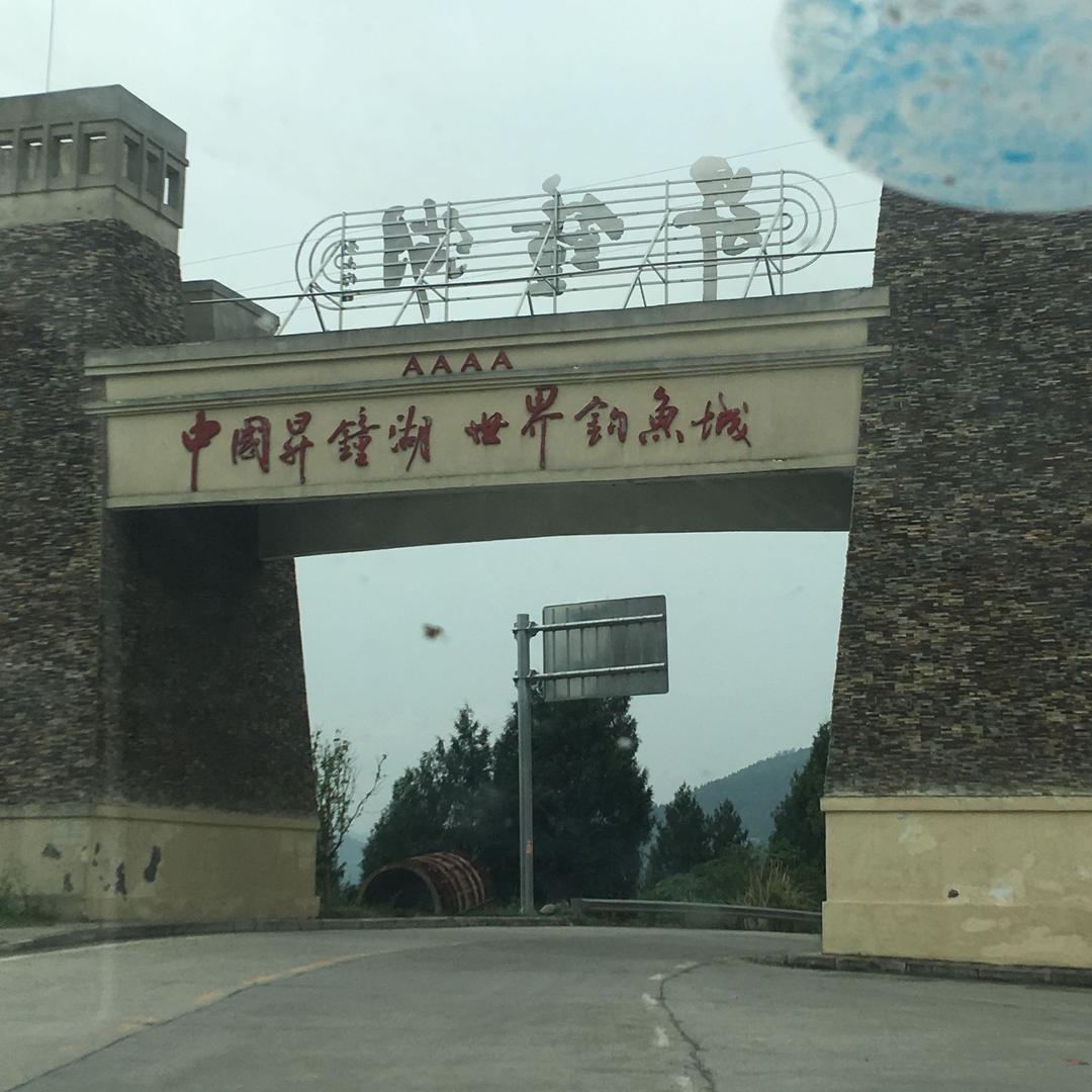 向前 向前 向前