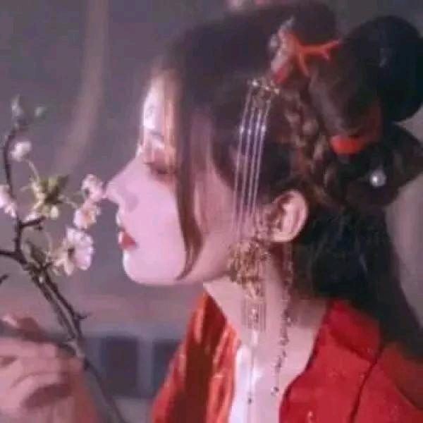 岳山桃（考研版）