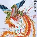 丹鳳朝陽