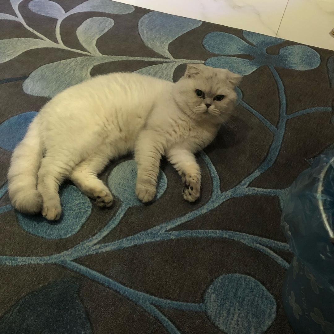三五