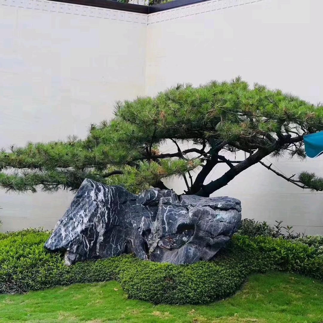 西华县四季红花卉农场