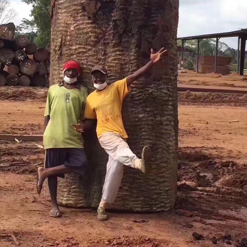 闽侯县上街林修龙家具商店