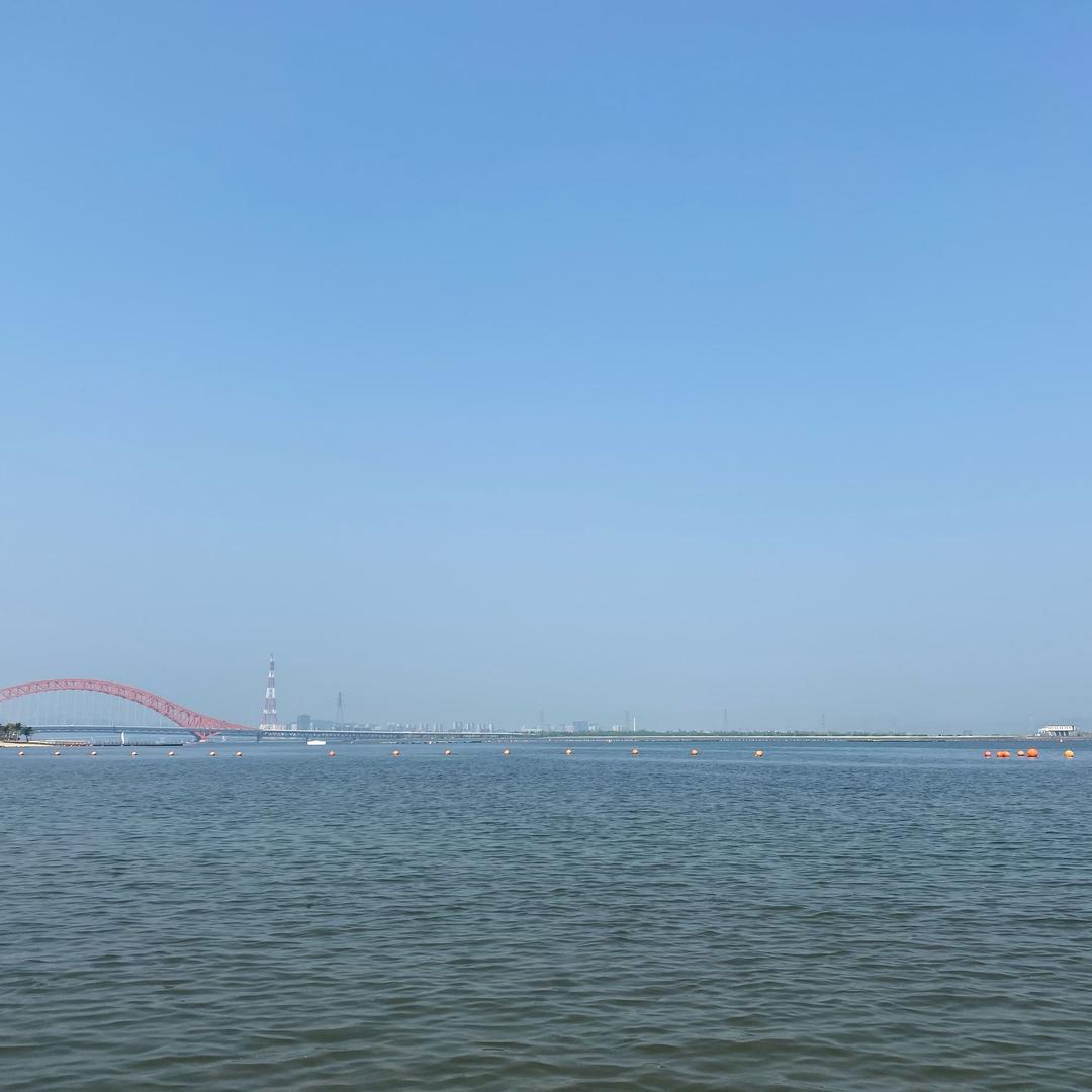 果然Alva