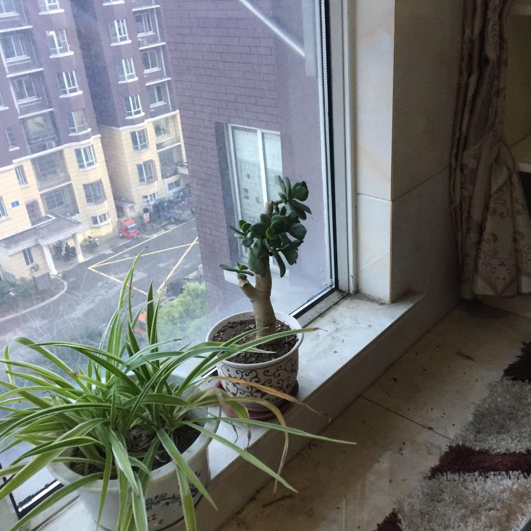 火焰
