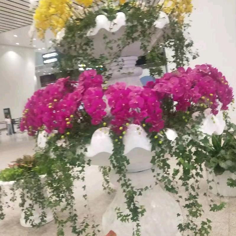 这奔跑的世界多美丽