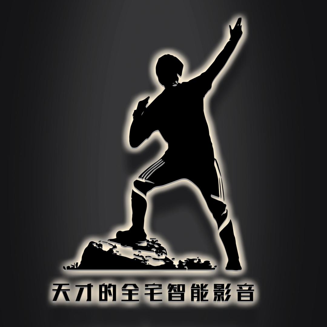 天才的全宅智能影音