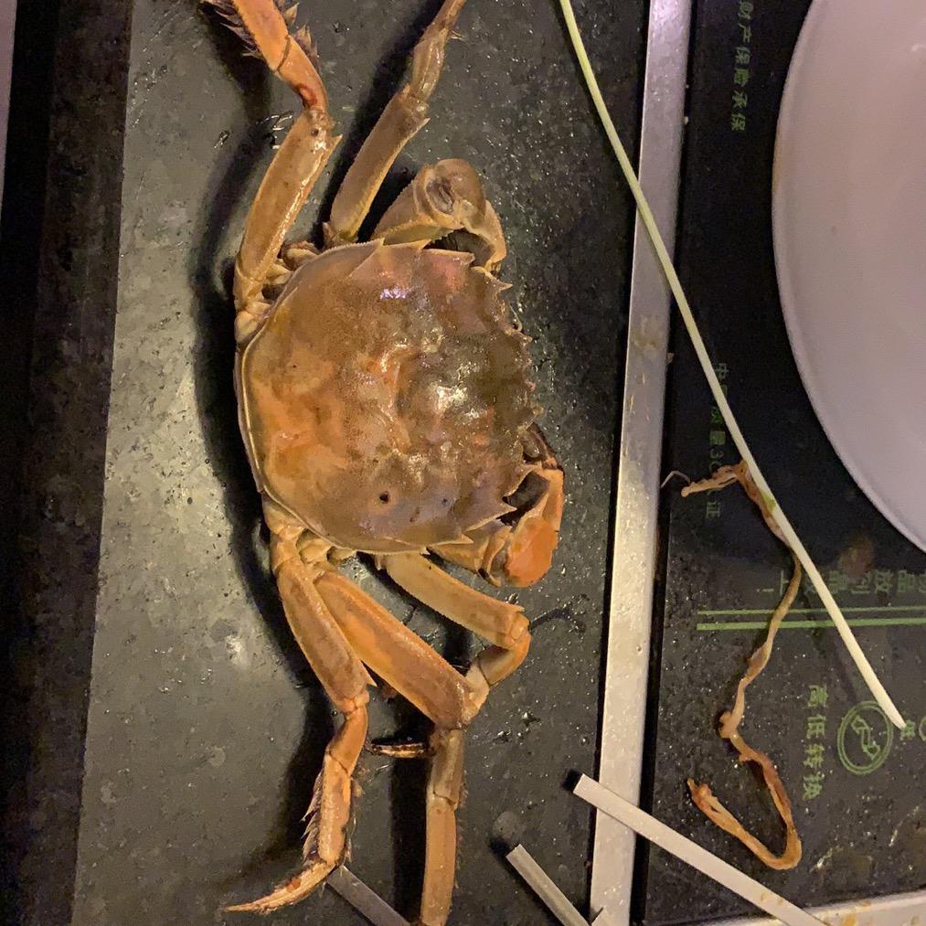 王守义说十三香。