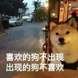 壮壮的小阿密