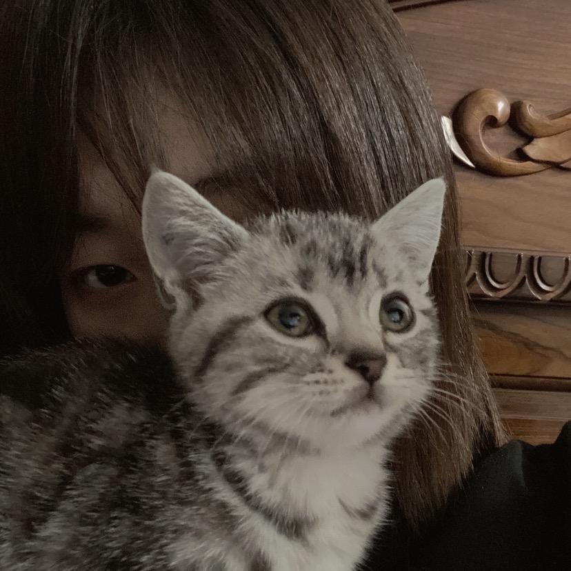 一起出门撒野吧