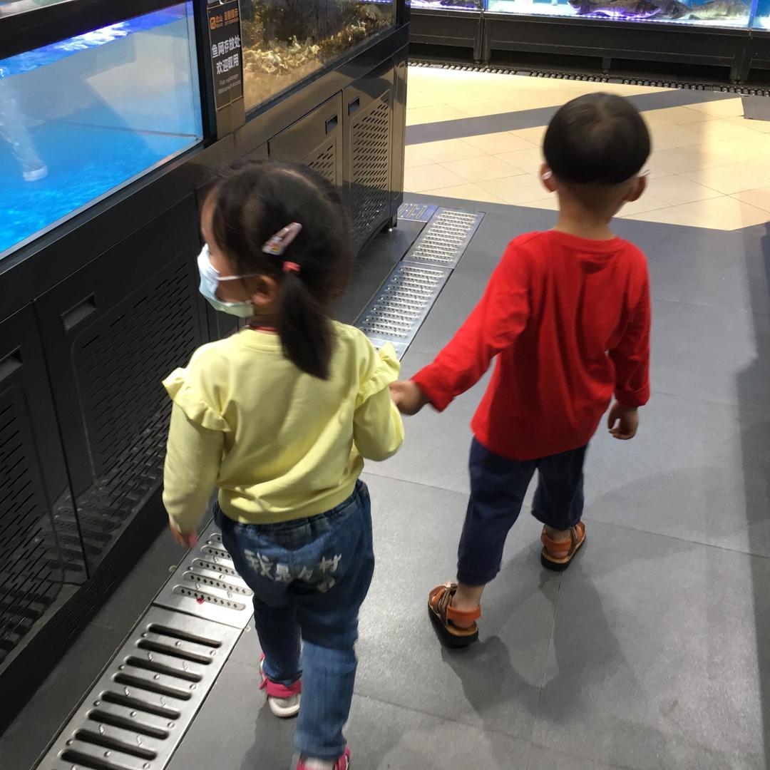 奇奇妙妙