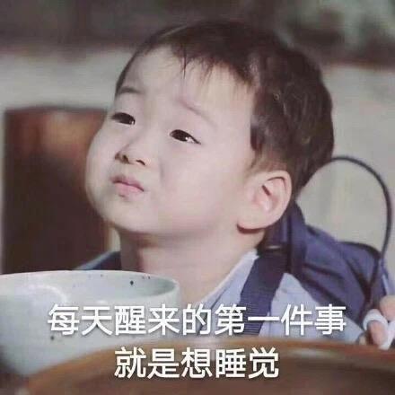 大白象加西亚