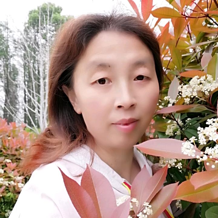 寒梅