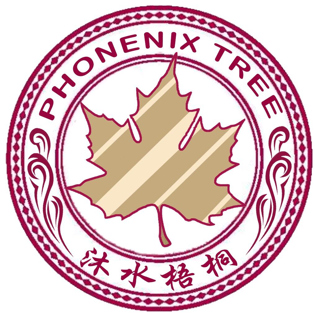 沐水梧桐中国字@抖音