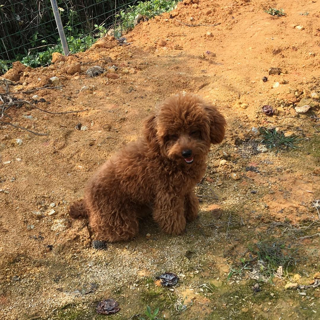 阿超