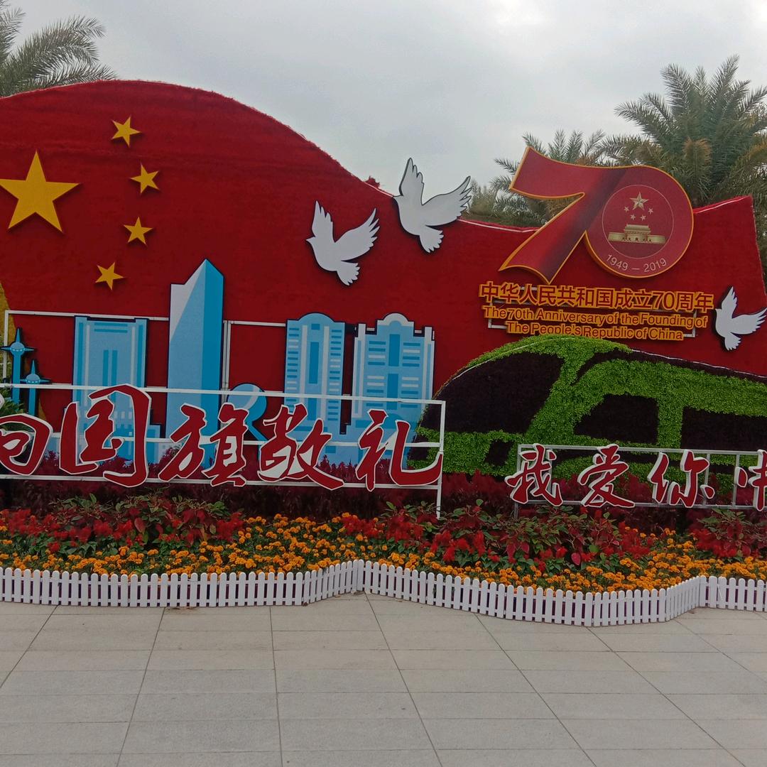 杨杋起航