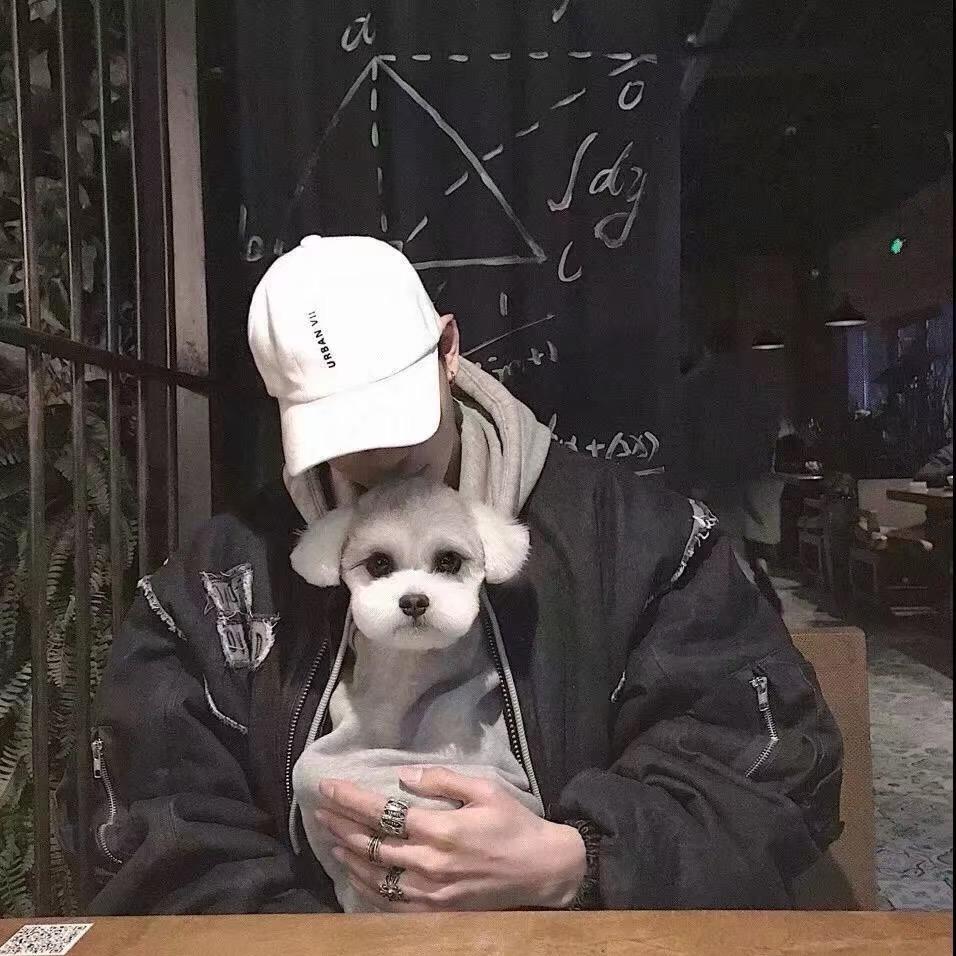 酷崽