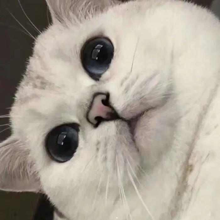 7777