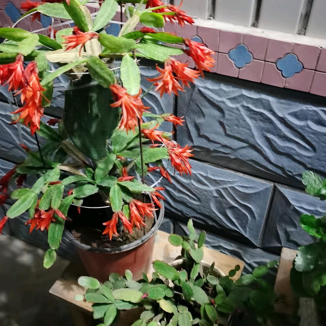 机会永远留给有准备的人