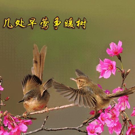 厚德载物