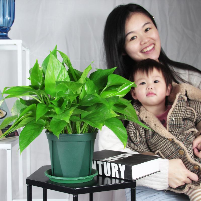 鲜绿仙XIANLVXIAN旗舰店@抖音