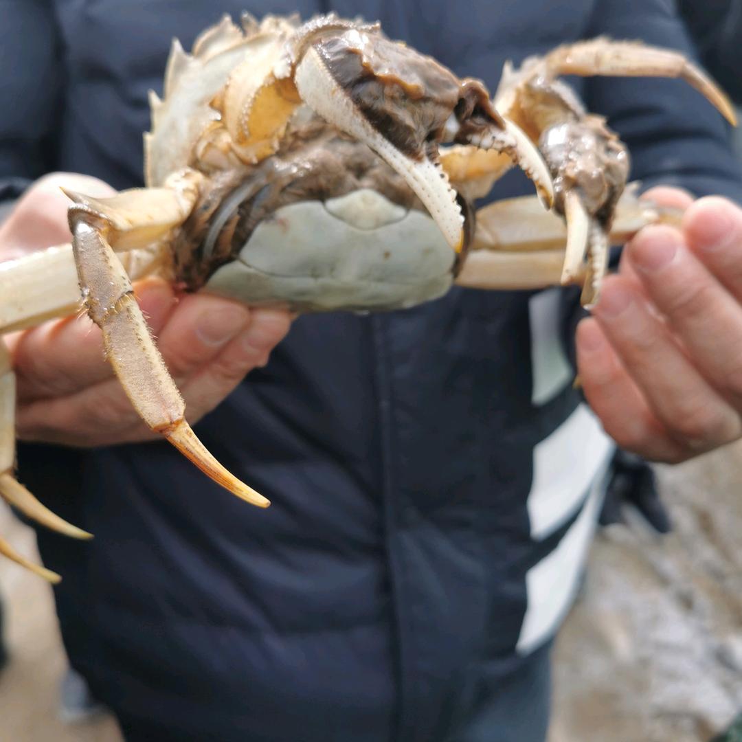 邱宏剑养殖家庭农场