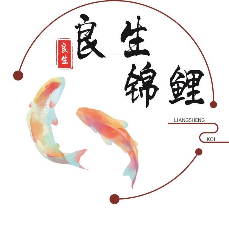 良生锦鲤🐟