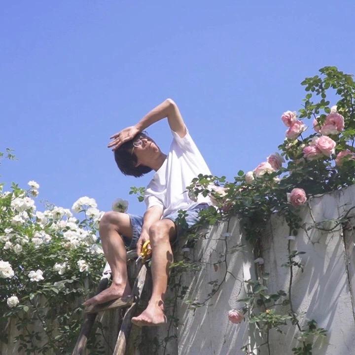 满叔的院子