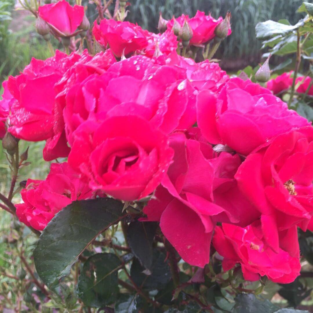 锦上添花123