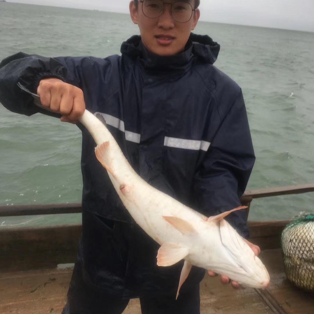 章鱼哥户外真实赶海