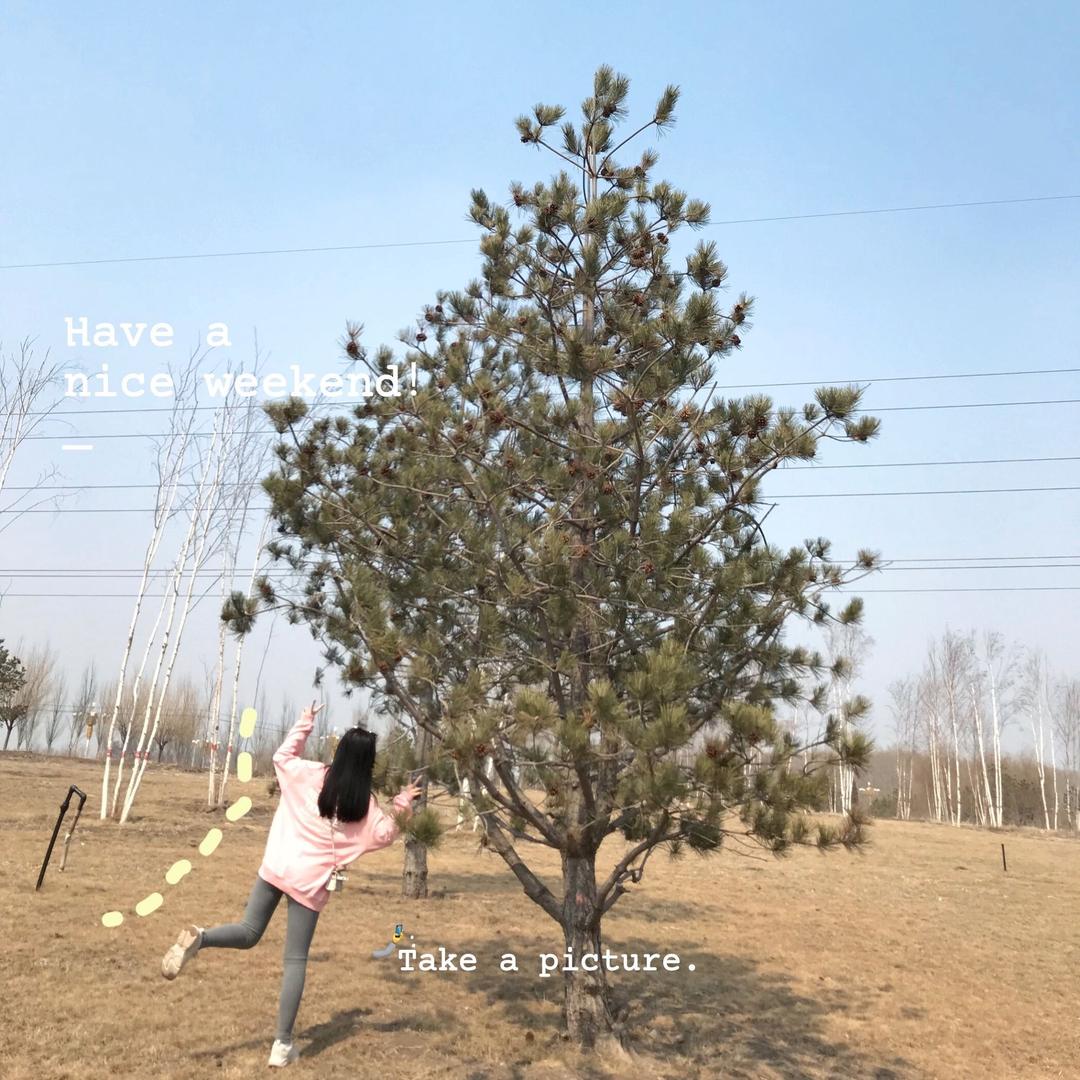 姗