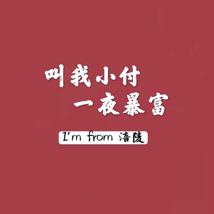 做广告的天才婆娘