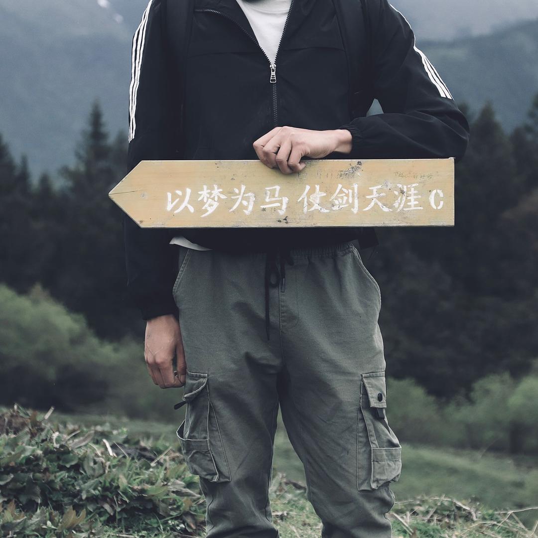 不吃猫的鱼、