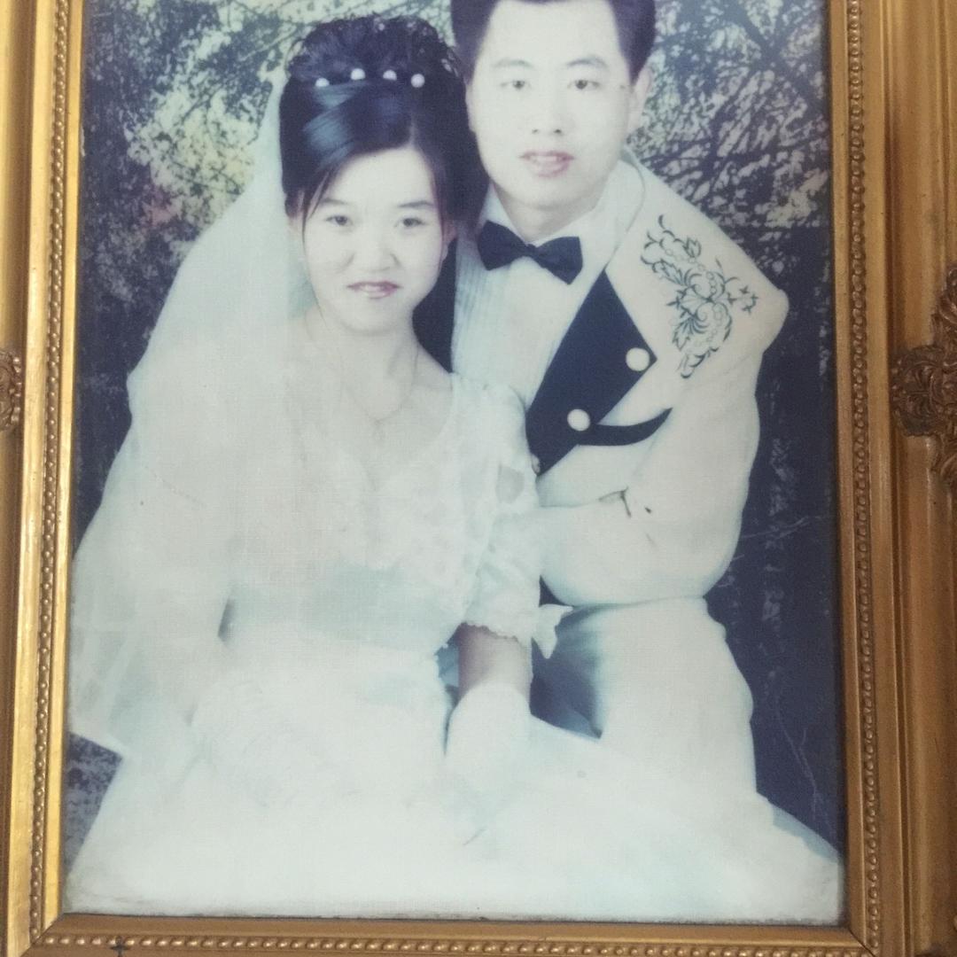 小金龙